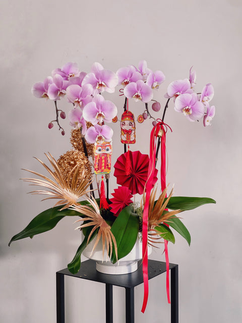 Lady Luck Orchids