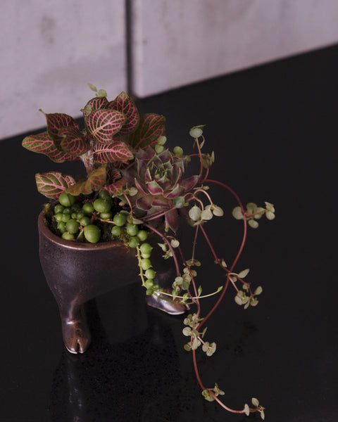 ZOOPUNKIA! 2-Part Planter Workshop