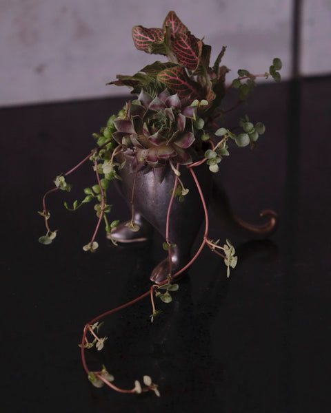 ZOOPUNKIA! 2-Part Planter Workshop