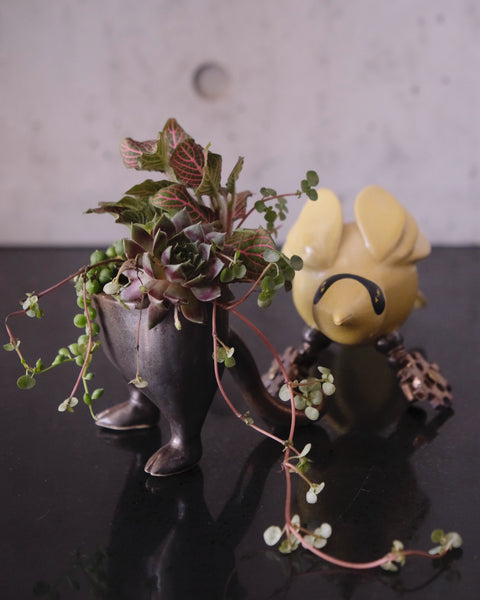 ZOOPUNKIA! WORKSHOPS