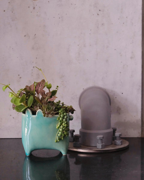 ZOOPUNKIA! 2-Part Planter Workshop