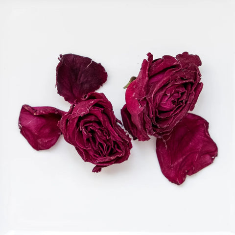 Crimson Rose