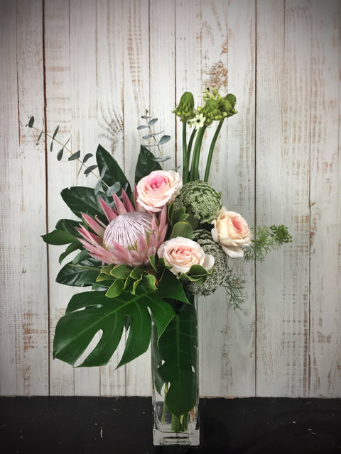 Protea Reign